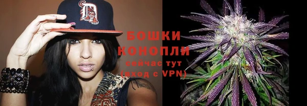 тгк Дмитровск