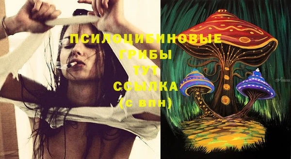 тгк Дмитровск