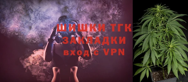 тгк Дмитровск