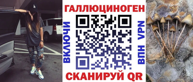 Купить  Приозерск  Псилоцибиновые грибы Psilocybe 